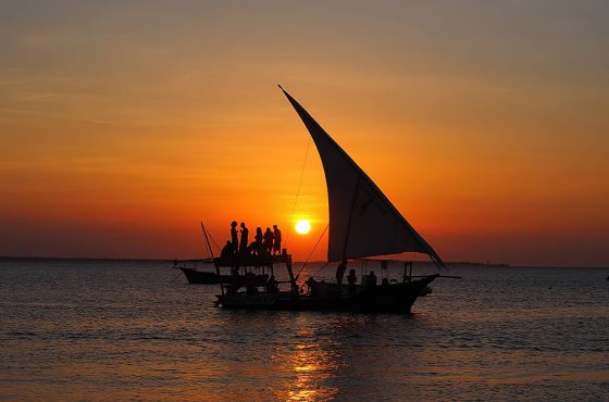 Top 7 Safari Experiences You Shouldn’t Miss in Tanzania