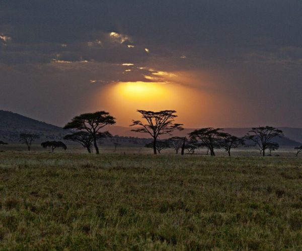 5 Days Ultimate Group Camping Safari