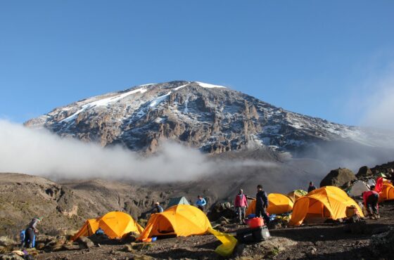 8-Day Mount Kilimanjaro Lemosho Route Trek