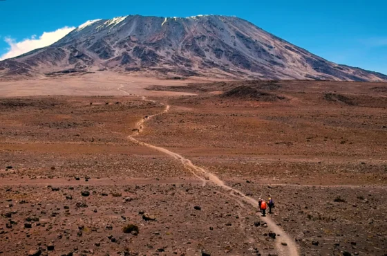 6 Day Mount Kilimanjaro Marangu Route