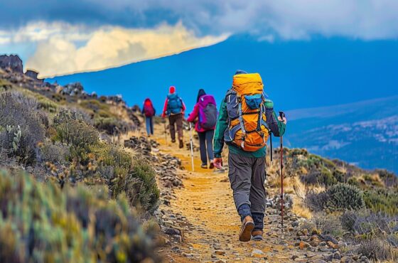 7 Days Rongai Route Kilimanjaro Trekking